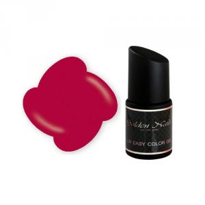 EASY COLOR GEL N. 6 - cod. GO0022/6 GOLDEN NAILS